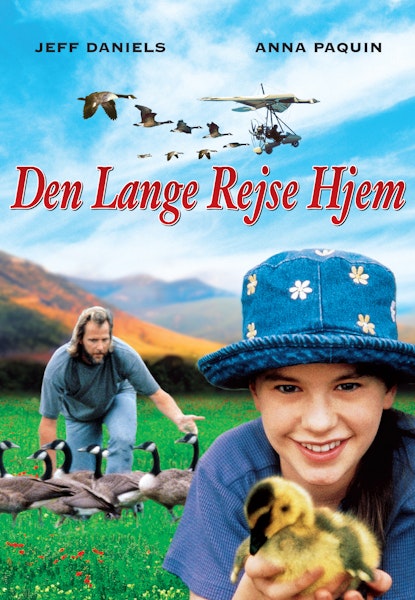 Den lange rejse hjem