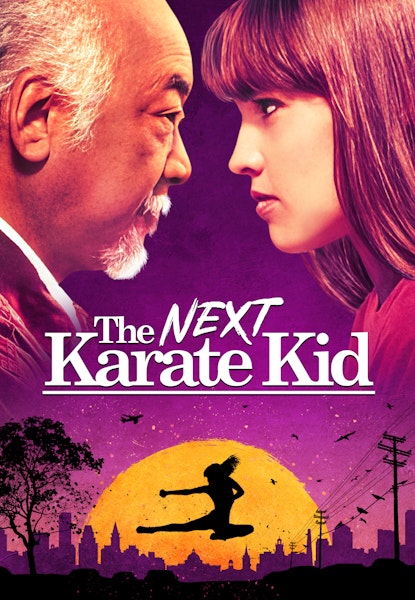 Karate Kid - Mästarens nya elev