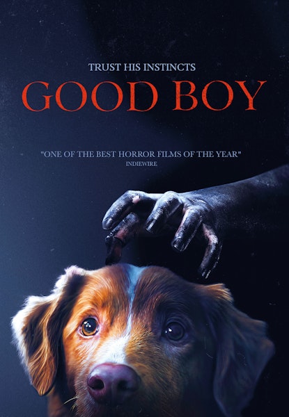 Good Boy