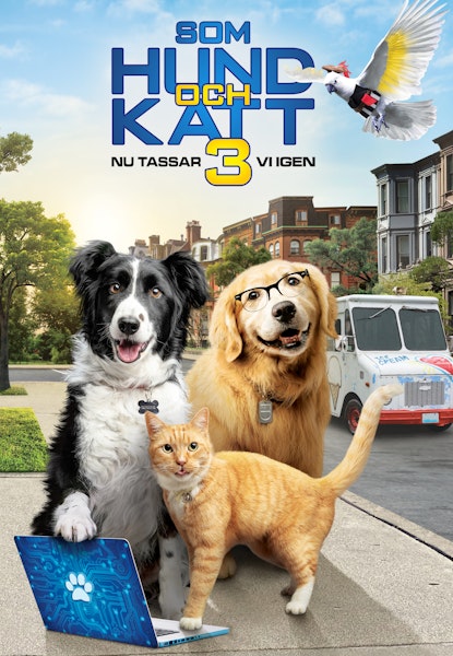 Som hund och katt 3: Nu tassar vi igen