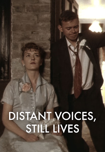 Distant Voices, Still Lives