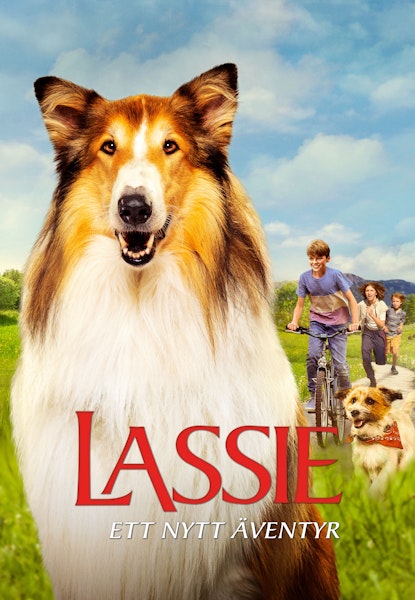 Lassie - Ett nytt äventyr