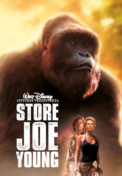 Store Joe Young
