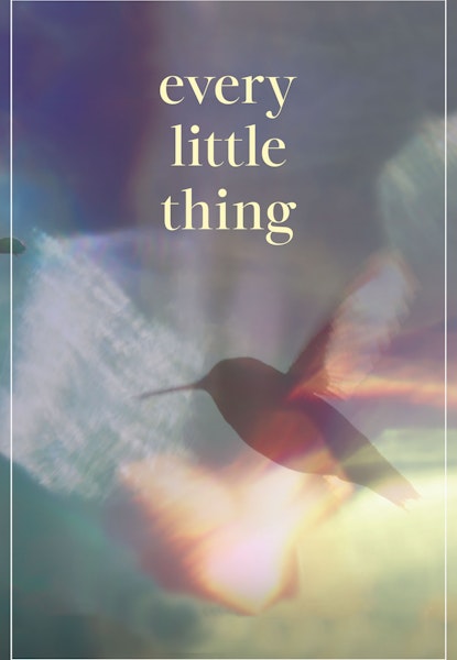 Every Little Thing
