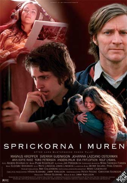 Sprickorna i muren