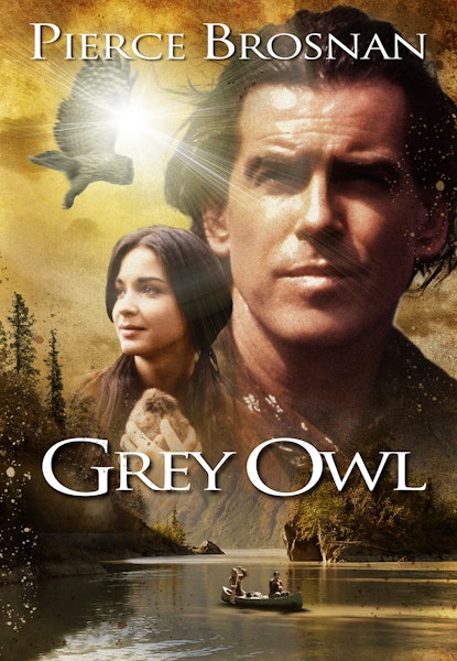 Grey Owl
