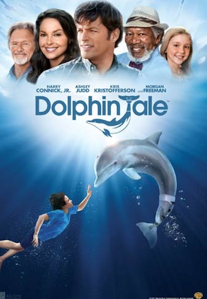 Dolphin Tale