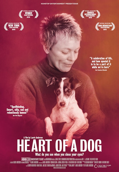 Heart of a Dog