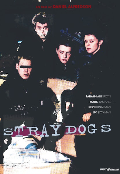 Straydogs