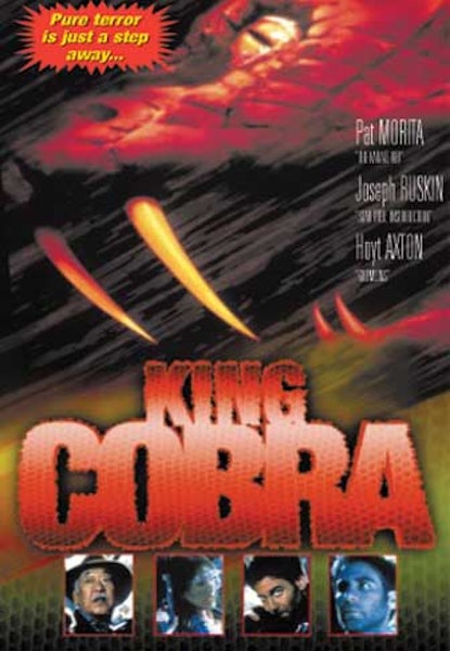 King Cobra