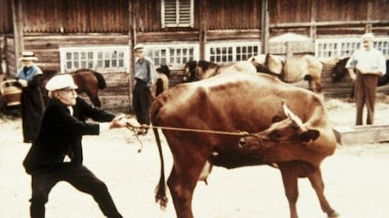 Emil i Lönneberga S01E07