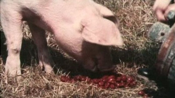 Emil i Lönneberga S01E12