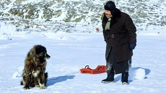 Nissebanden i Grønland S01E15