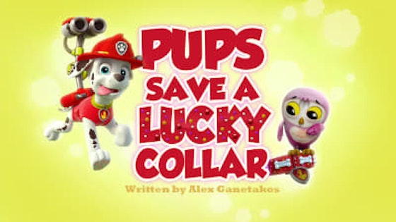 Paw Patrol S03E06