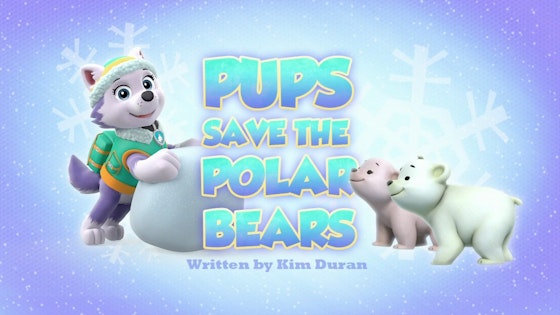 Paw Patrol S03E19