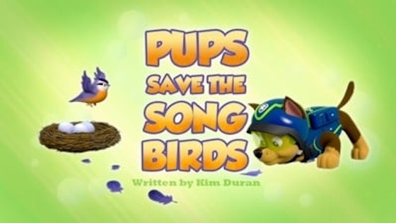 Paw Patrol S03E22