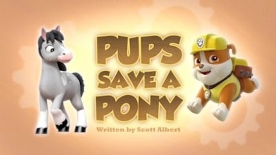 Paw Patrol S03E24