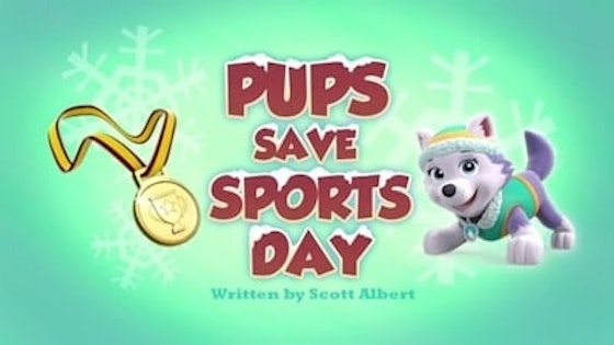 Paw Patrol S03E26