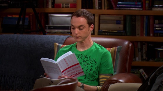 The Big Bang Theory S01E17